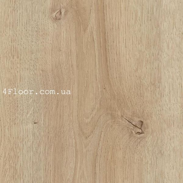 Kaindl K2241 Oak Cordoba Crema | Австрійський водостійкий ламінат | Aqua Pro Select Natural Touch 8.0 | 33 (AC5) LAM-KAI-0903 фото